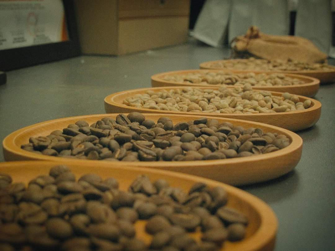 Về Gia Lai thưởng thức cà phê