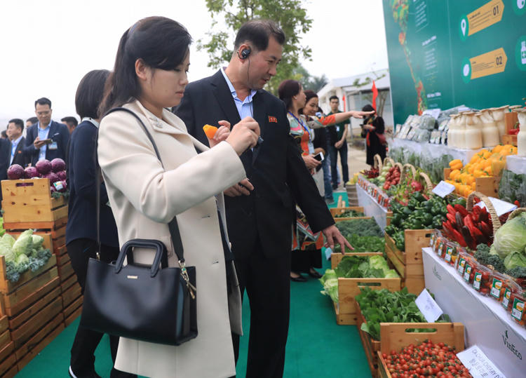 Chân dung 'người đẹp quyền lực' tháp tùng ông Kim dự các thượng đỉnh lịch sử