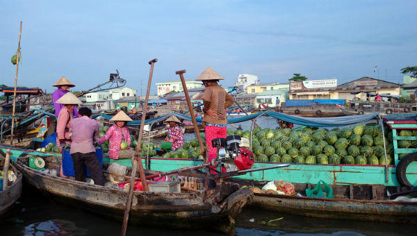 Sắp diễn ra lễ hội hoa lan lớn nhất từ trước tới nay tại TP HCM