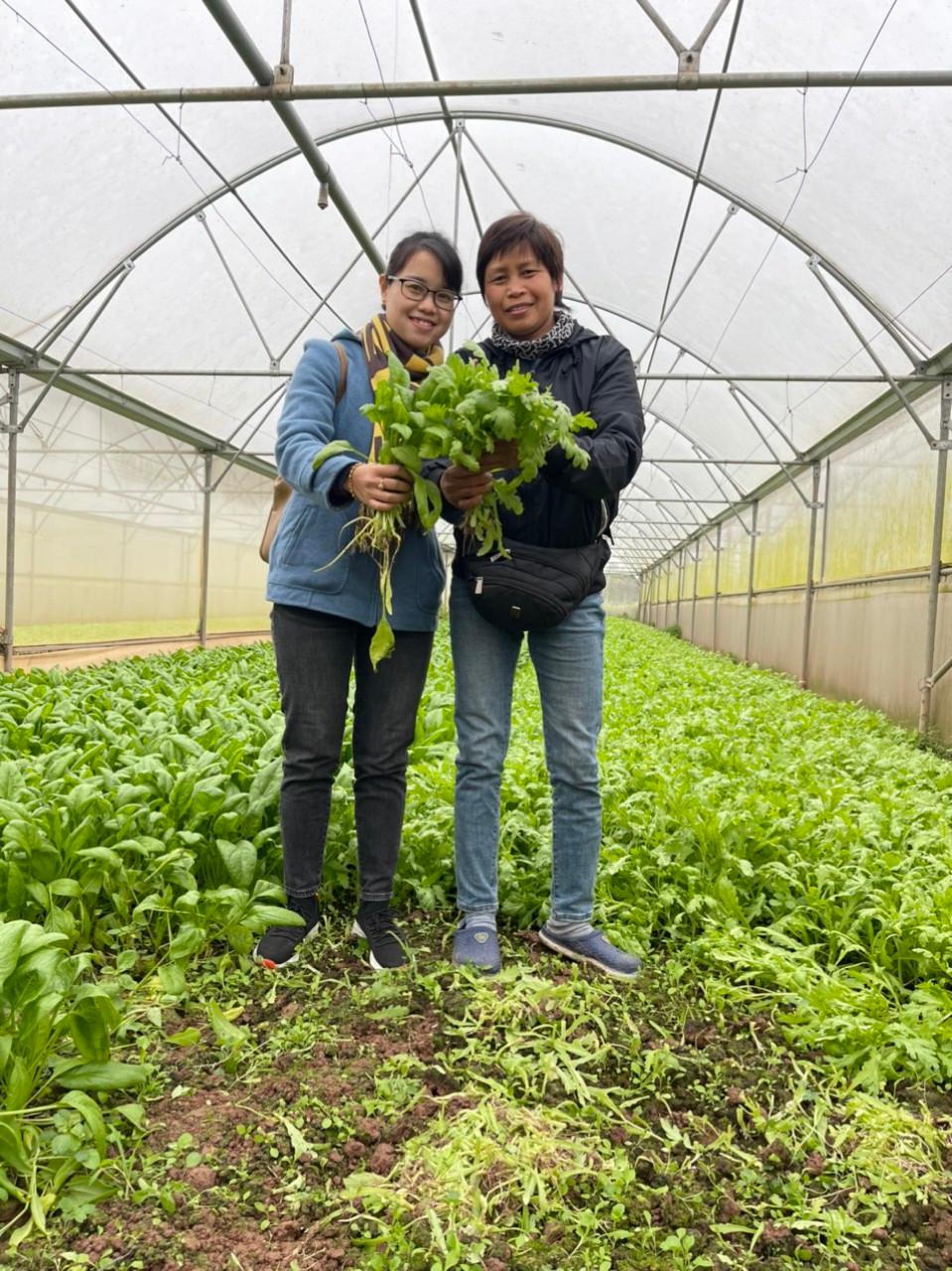 Bà Đặng Thị Cuối - Công dân Thủ đô ưu tú năm 2022 "đổi đời" nhờ rau sạch