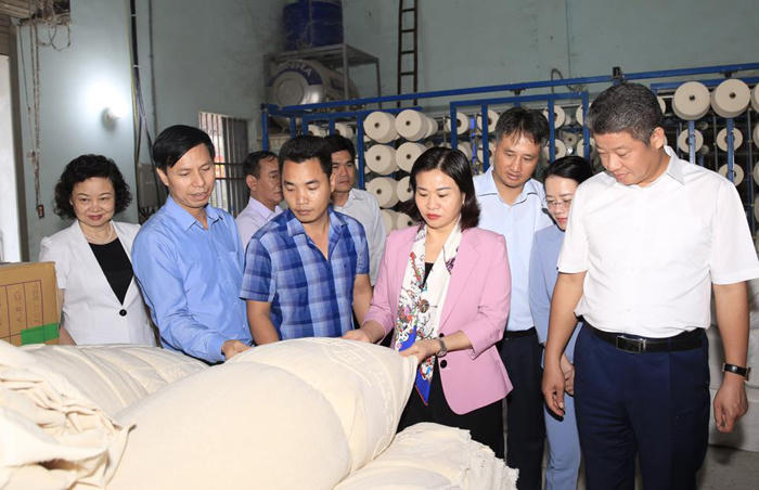 Hà Nội: Tập trung hoàn thành các tiêu chí để Mỹ Đức sớm 'về đích' huyện nông thôn mới