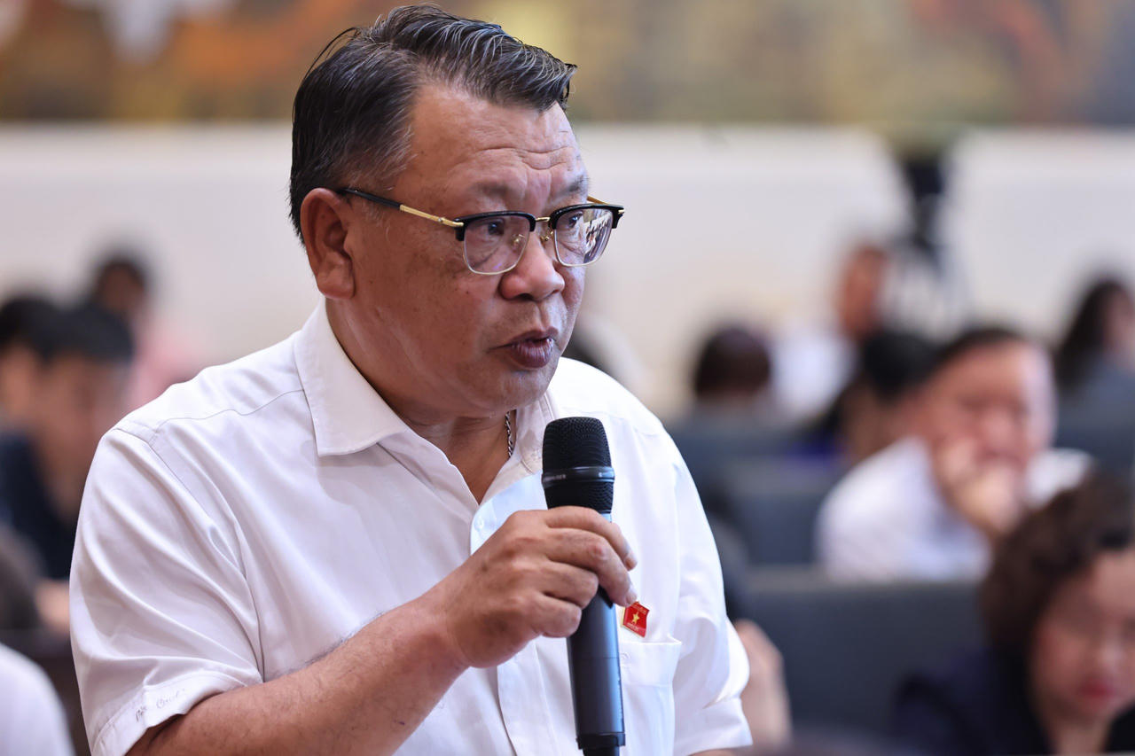 Cần có hình thức răn đe thích đáng với hành vi đấu giá cao rồi bỏ cọc