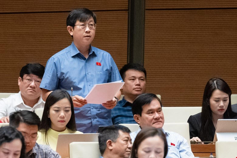 Khu thương mại tự do Đà Nẵng: Cần có cơ chế giám sát đặc biệt để vừa làm, vừa đánh giá