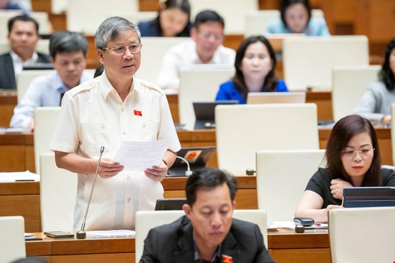 Đại biểu Nguyễn Anh Trí phát biểu tại phiên họp. Ảnh: P.V.