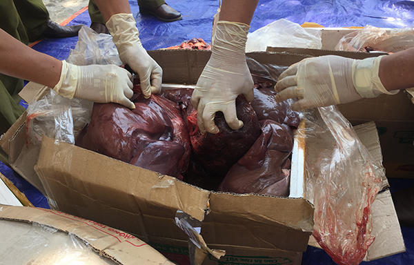 Bắt giữ gần 3 tạ nội tạng hôi thối đang trên đường vào Nam tiêu thụ