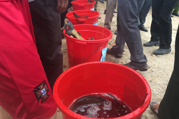 Sôi động lễ hội đua thuyền, thi cá trắm giữa lòng Di sản Phong Nha – Kẻ Bàng