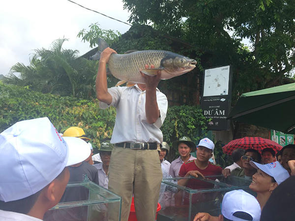 Sôi động lễ hội đua thuyền, thi cá trắm giữa lòng Di sản Phong Nha – Kẻ Bàng