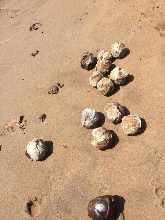 Phát hiện hơn 100 quả bom bi khi người dân bơm nước lên đồng