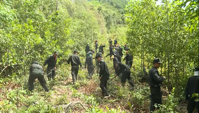 Cháy rừng dữ dội ở Quảng Bình, gần 500 người dồn sức dập lửa