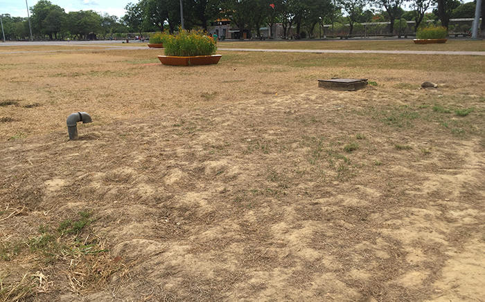 Sao lại để màu vàng cháy bao trùm ‘cửa ngõ’ du lịch Huế Xanh?