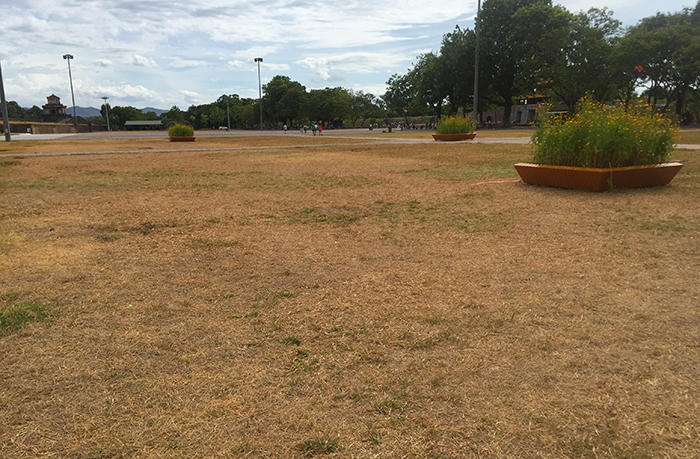 Sao lại để màu vàng cháy bao trùm ‘cửa ngõ’ du lịch Huế Xanh?