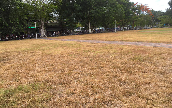 Sao lại để màu vàng cháy bao trùm ‘cửa ngõ’ du lịch Huế Xanh?