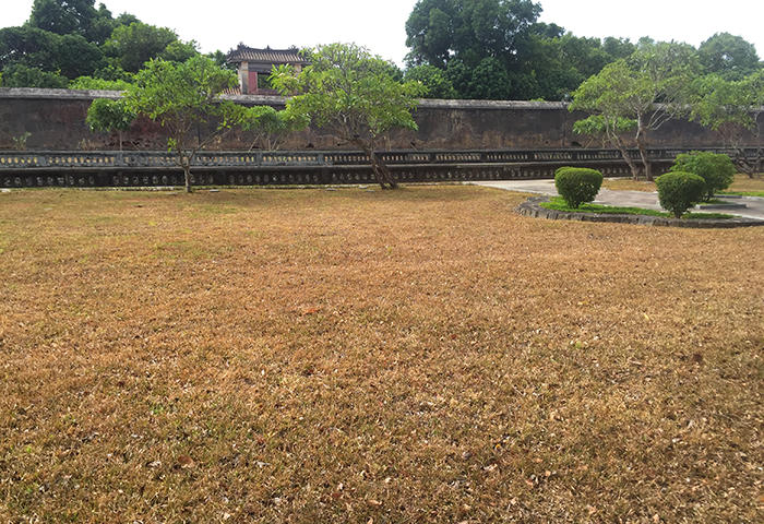 Sao lại để màu vàng cháy bao trùm ‘cửa ngõ’ du lịch Huế Xanh?