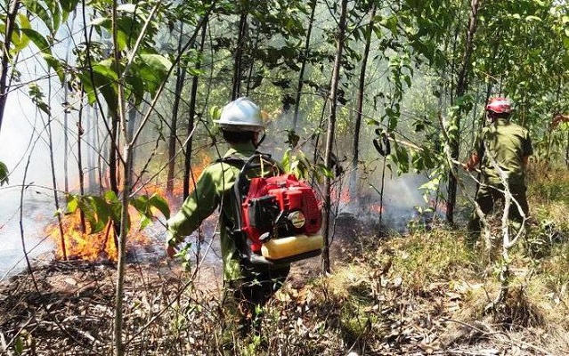 Cháy rừng ở Thừa Thiên Huế, hơn 500 người dồn sức dập lửa