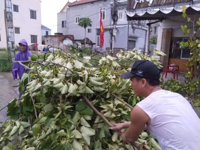 Cứu nạn khẩn cấp 14 ngư dân Quảng Bình cgặp nạn trên biển giữa cơn bão