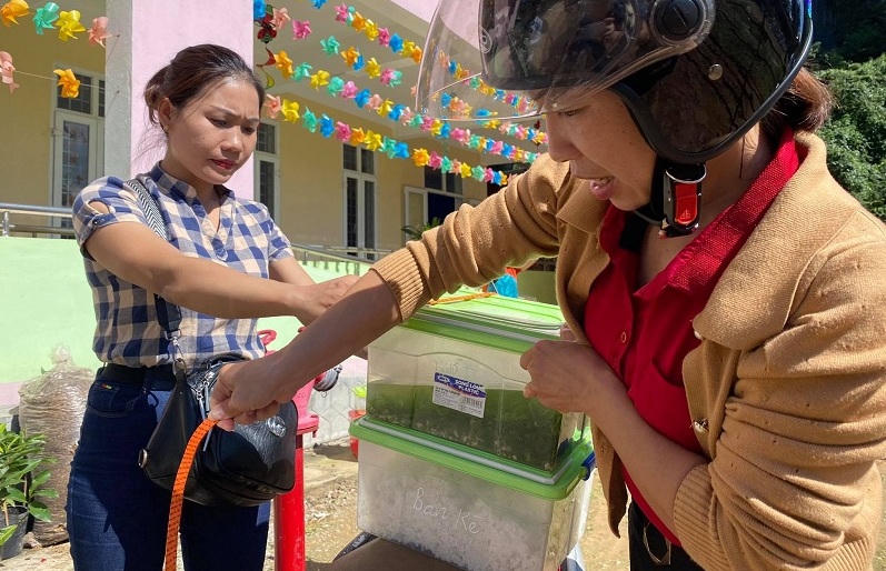 Xúc động giáo viên vượt hàng chục km đường rừng mỗi ngày mang cơm cho học sinh