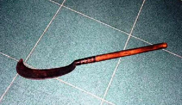 Dùng rựa chém trưởng thôn tử vong rồi treo cổ tự tử  