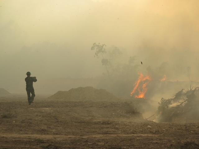 Cháy rừng dữ dội tại Thừa Thiên - Huế