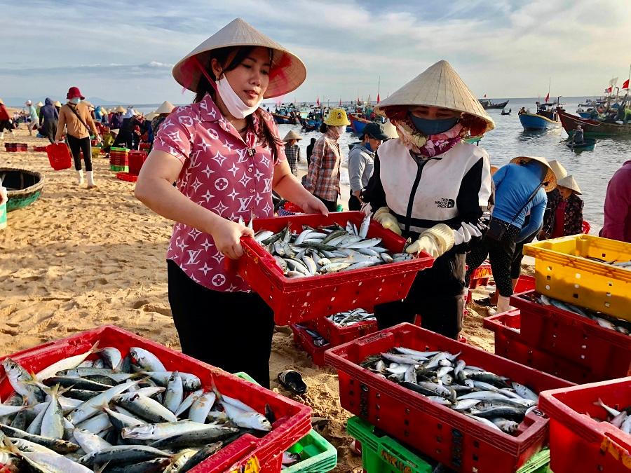 Người Quảng Bình góp cá tươi gửi TP HCM