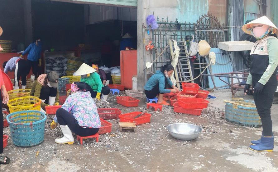 Xót xa cảnh hàng trăm tàu cá tại Quảng Bình ‘mắc cạn’ do ra khơi thua lỗ