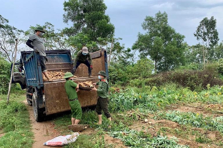 Công an Quảng Bình giúp người dân đang thực hiện giãn cách thu hoạch nông sản