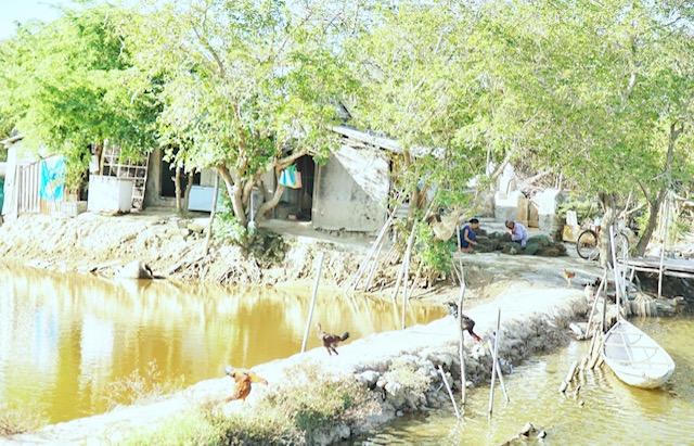 Đôi hiền nhân gần 40 năm sống thanh tịnh giữa Rú Chá