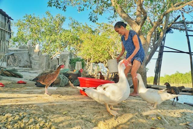 Đôi hiền nhân gần 40 năm sống thanh tịnh giữa Rú Chá