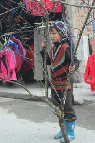 Chợ Sapa rực rỡ ngày cận tết