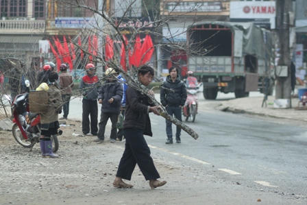 Chợ Sapa rực rỡ ngày cận tết