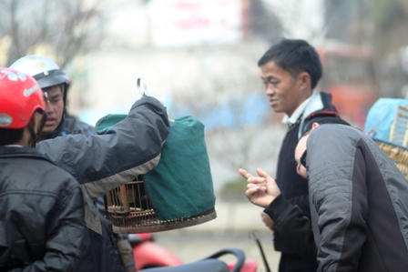 Chợ Sapa rực rỡ ngày cận tết