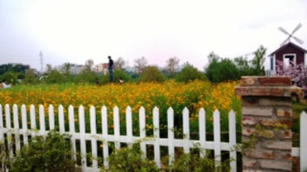 Ai là “ông chủ” khu vực sai phạm tại bãi đá sông Hồng?