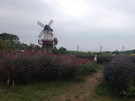 Để bãi đá sông Hồng tiếp tục hoạt động, quận Tây Hồ coi thường “lệnh” TP Hà Nội