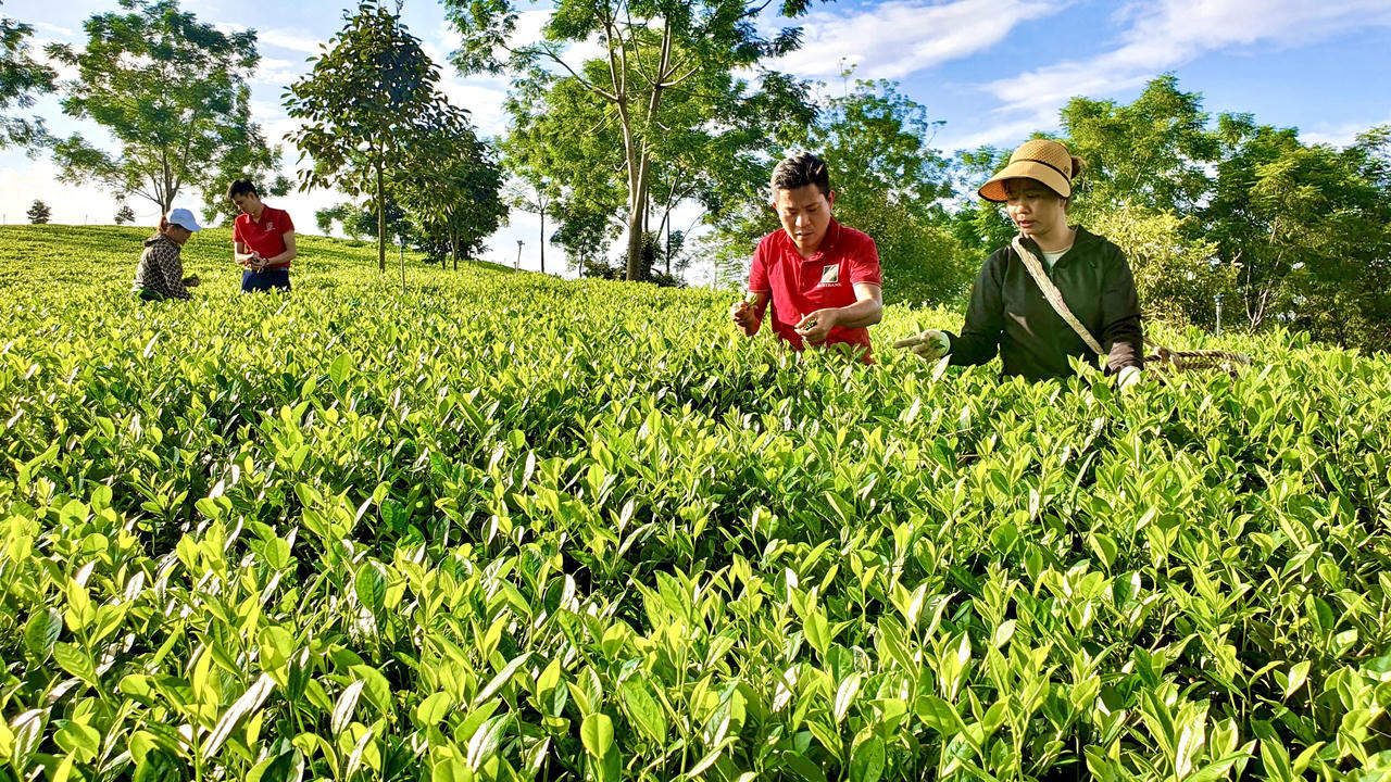 Agribank - Vì tương lai xanh, từ phong trào đến mục tiêu 'Phát triển bền vững'