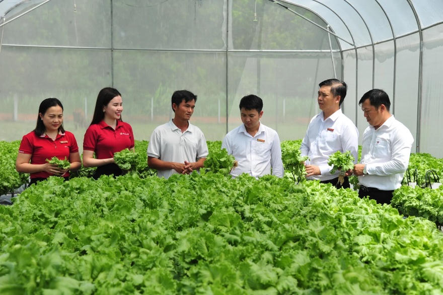 Agribank đầu tư phát triển nông nghiệp sạch, nông nghiệp công nghệ cao