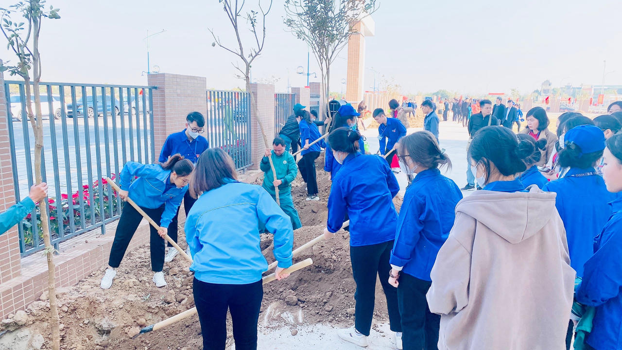 Cả nước tích cực 'ra quân' hưởng ứng Tết trồng cây