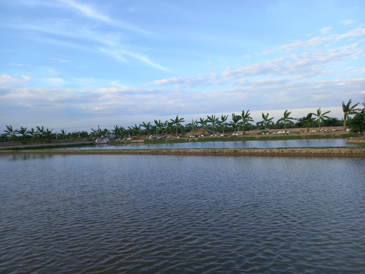 Theo chân người dân đi bắt rươi đêm ở Tứ Kỳ