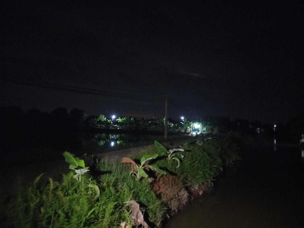 Theo chân người dân đi bắt rươi đêm ở Tứ Kỳ