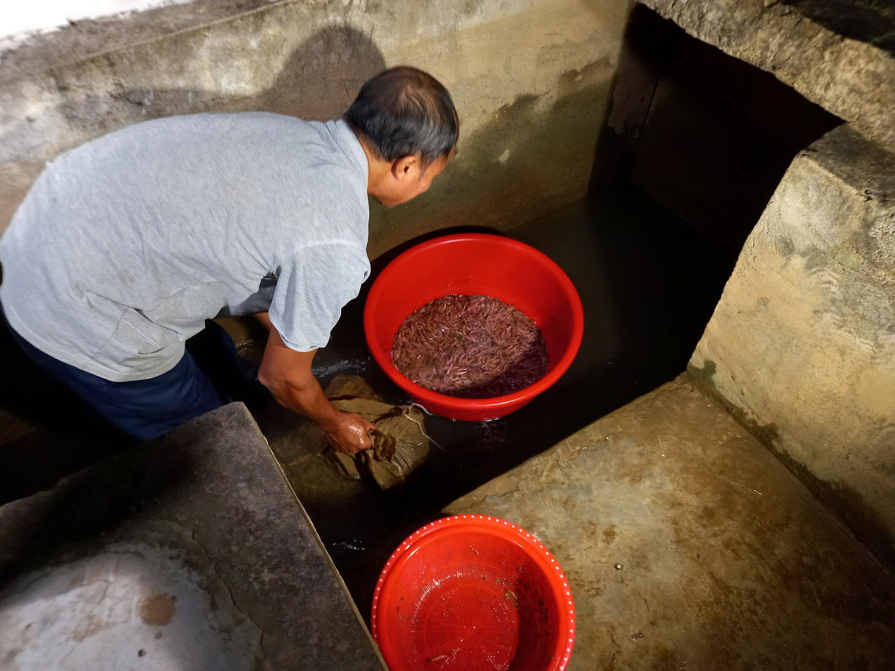 Theo chân người dân đi bắt rươi đêm ở Tứ Kỳ