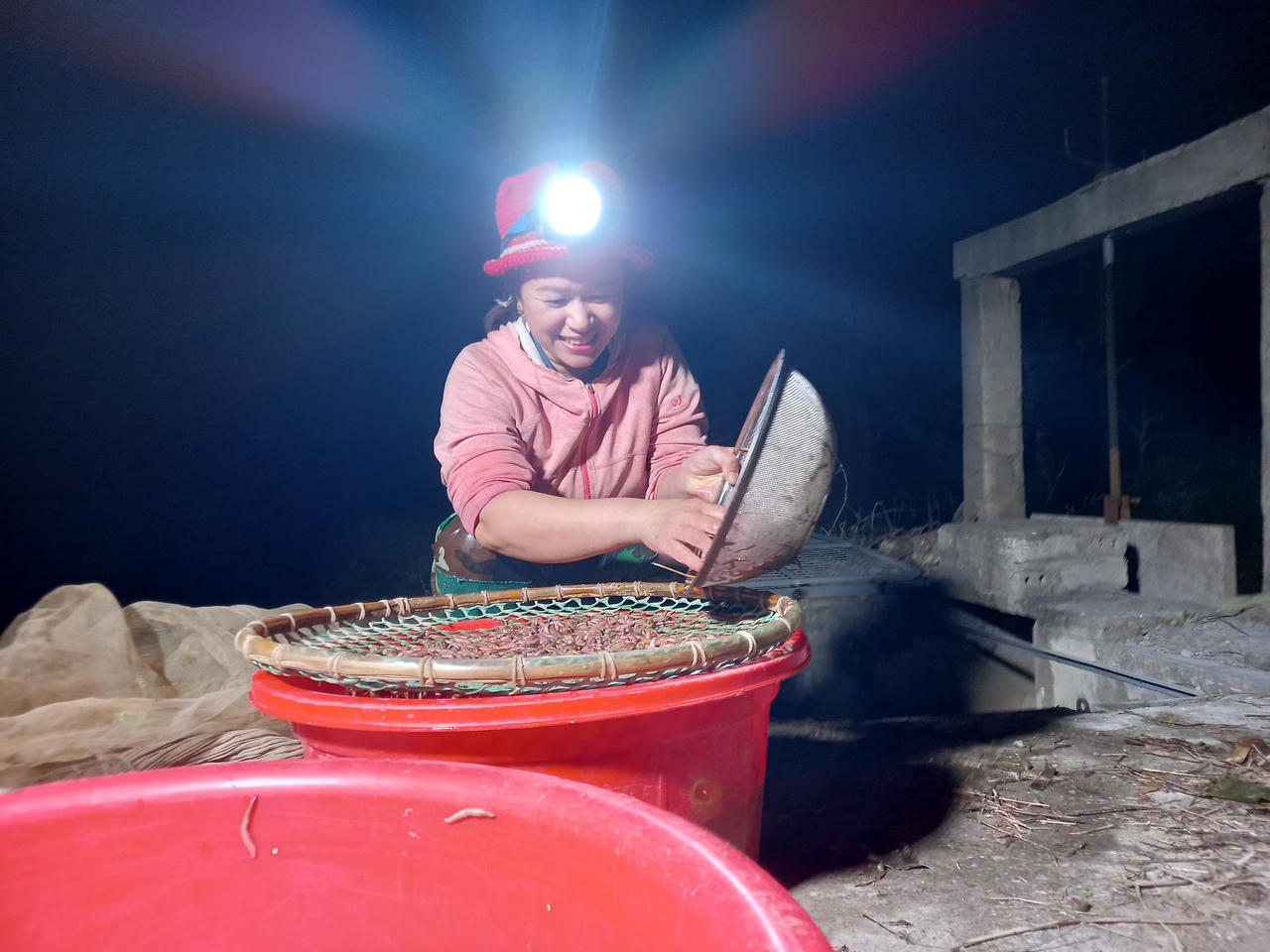 Theo chân người dân đi bắt rươi đêm ở Tứ Kỳ