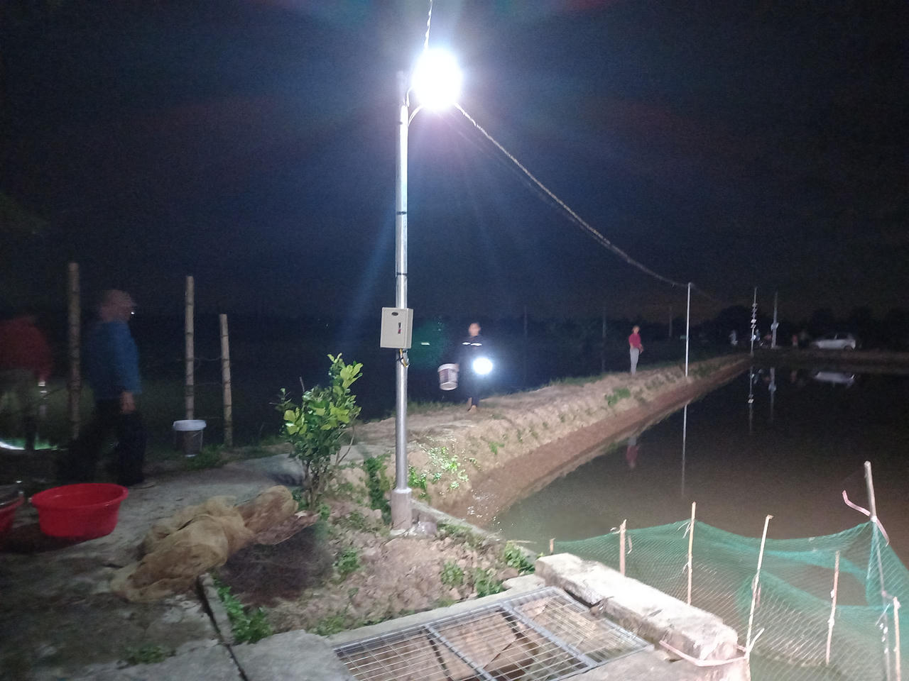 Theo chân người dân đi bắt rươi đêm ở Tứ Kỳ