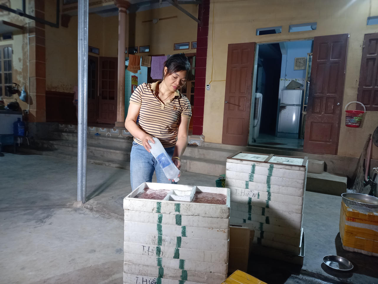 Theo chân người dân đi bắt rươi đêm ở Tứ Kỳ