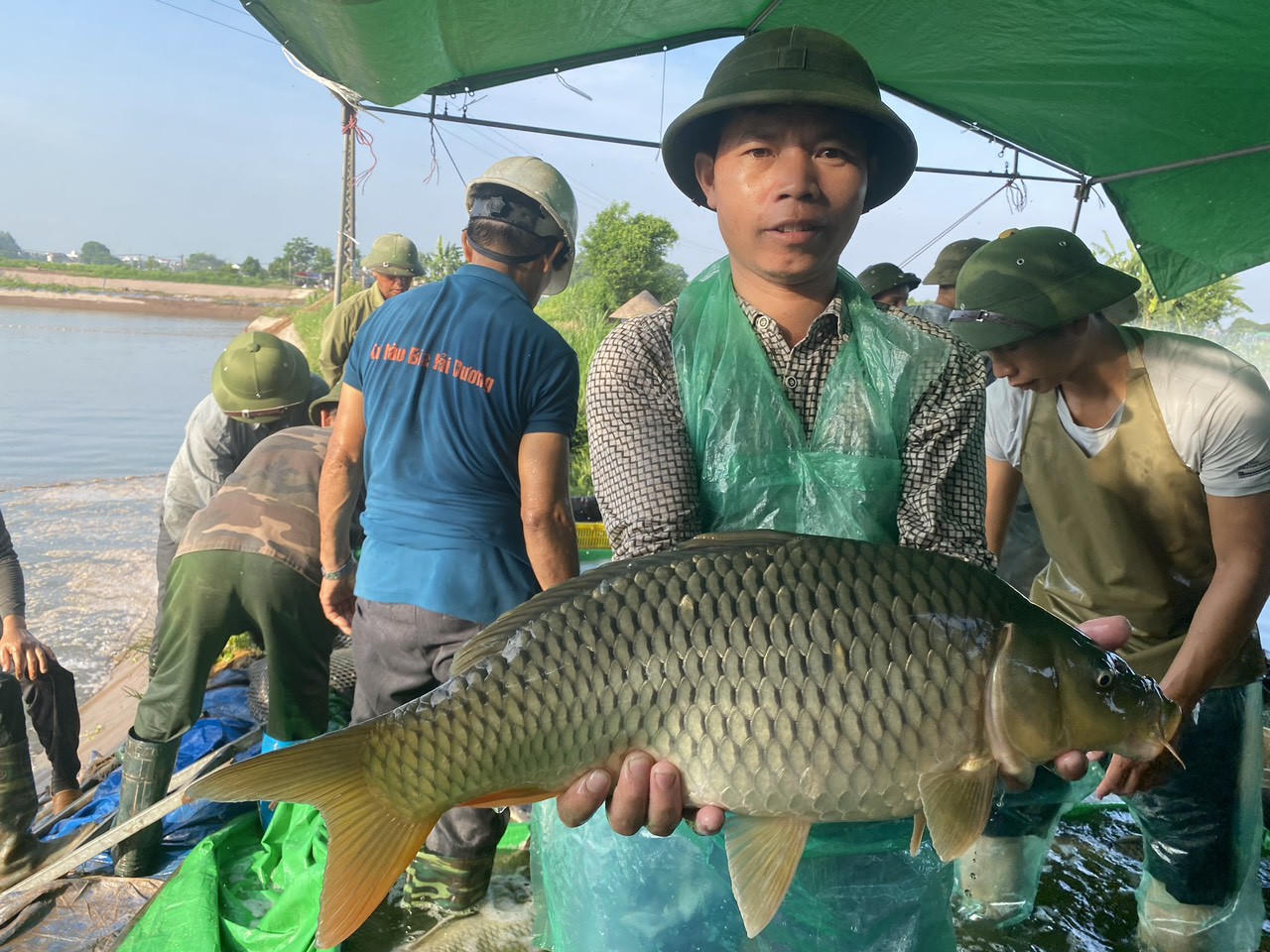 Hải Dương quan tâm phát triển các vùng nuôi tập trung và ứng dụng KHKT vào nuôi trồng thủy sản