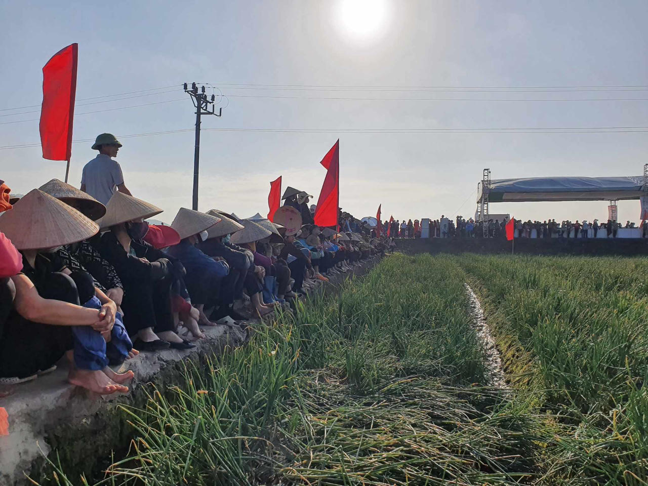 Sôi nổi lễ hội thu hoạch hành, tỏi ở Hải Dương