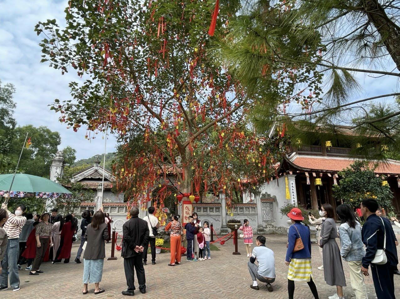 Du lịch bội thu dịp Tết Nguyên đán 2024