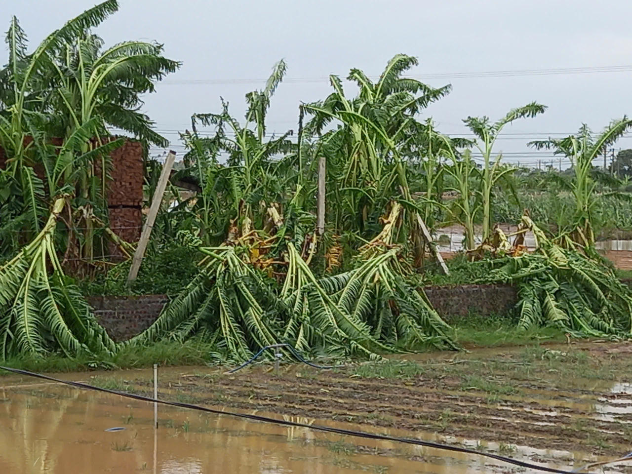 Học sinh, sinh viên nhiều nơi nghỉ học, học online sau bão số 3