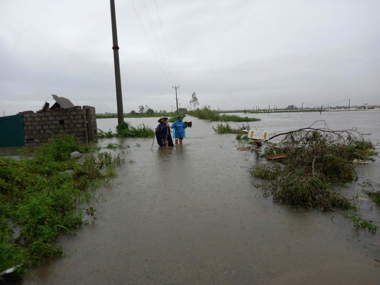 Phát lệnh báo động số II trên sông Thái Bình, Hải Dương họp khẩn trong đêm