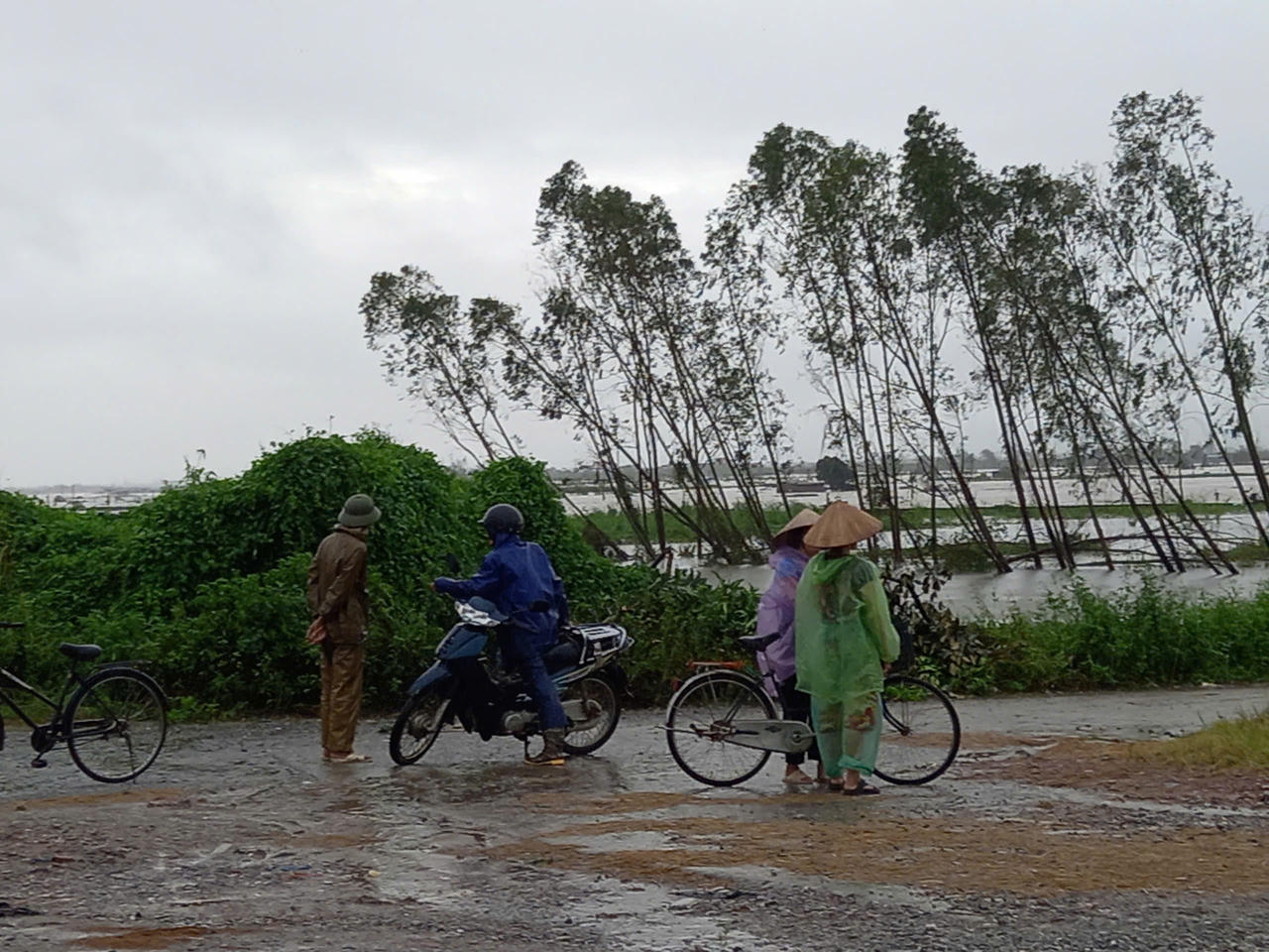 Phát lệnh báo động số II trên sông Thái Bình, Hải Dương họp khẩn trong đêm