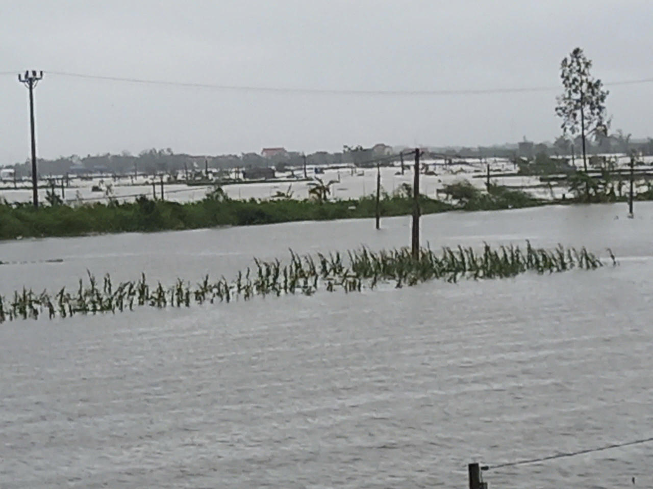 Phát lệnh báo động số II trên sông Thái Bình, Hải Dương họp khẩn trong đêm