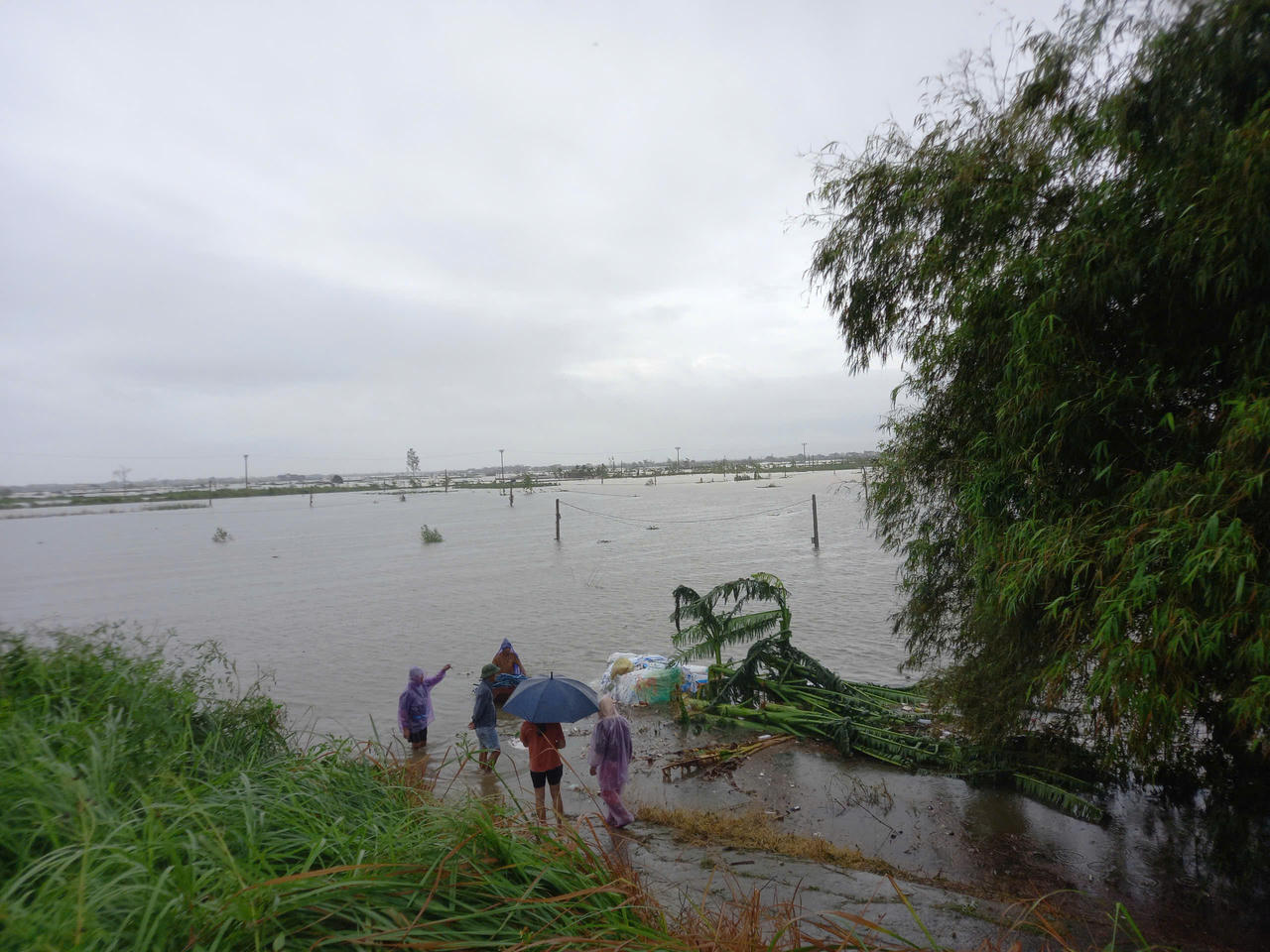 Phát lệnh báo động số II trên sông Thái Bình, Hải Dương họp khẩn trong đêm