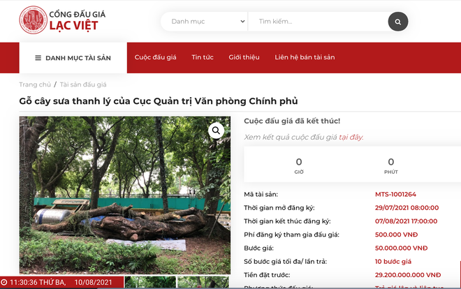 Đấu giá trực tuyến – giải pháp an toàn, đúng đắn trong mùa dịch